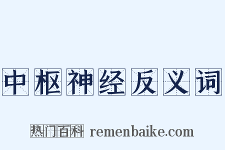 中枢神经反义词是什么意思的图片